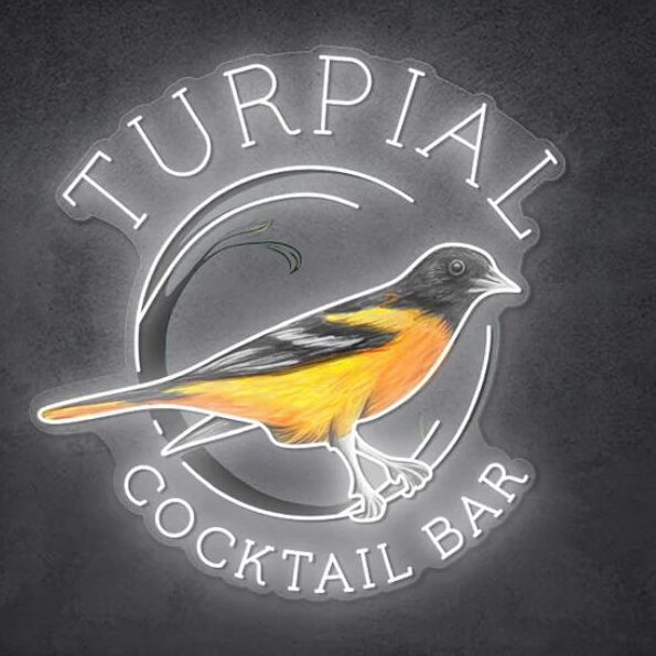 turpial-logo-led